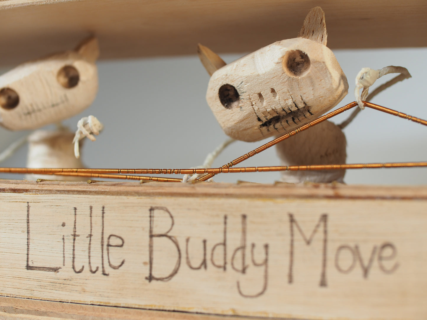 LITTLE BUDDY MOVE
